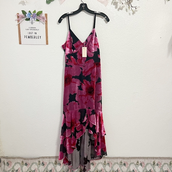 NWT Hutch Royce Floral High Low Velvet Burnout Dress - Picture 3 of 9